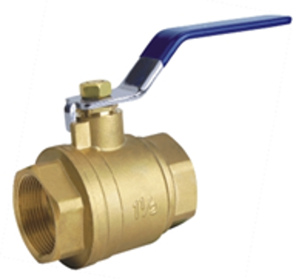 Picture of FIP Ball Valves